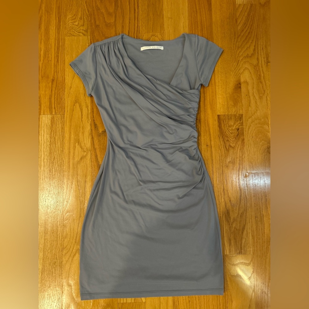 Susana Monaco Gray Mini Dress